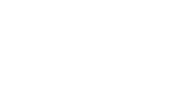 IHM